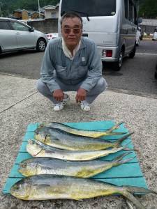 神谷沖一文字　飲ませのシイラ数出てます