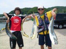 神谷沖一文字　飲ませのシイラ数出てます