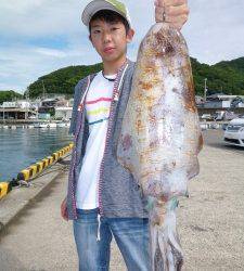 工場裏でのエギング釣果 ★1.4kg★