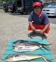 沖一文字内向きでシイラ　豆アジを使っての飲ませ釣りです