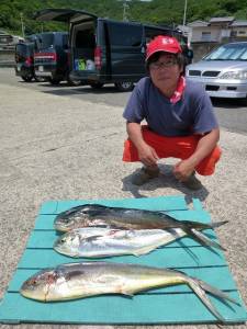 沖一文字内向きでシイラ　豆アジを使っての飲…