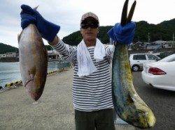 沖一文字内向き、シオ51cmとシイラの釣果☆