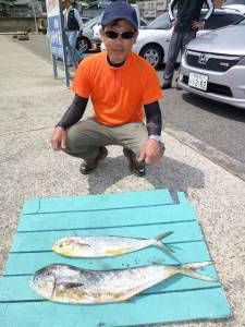 のませでシイラ、他カゴ釣りでソーダガツオ
