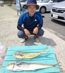 のませでシイラ、他カゴ釣りでソーダガツオ