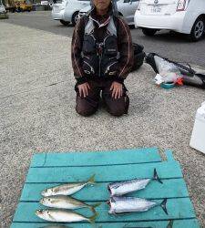 沖一文字内向きでカゴ釣り〜丸アジにゴマサバ・ソーダガツオ〜