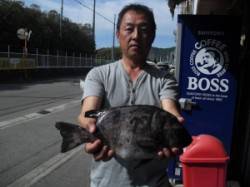 沖ノ島_地ノ島　ウニをエサに石鯛40cm