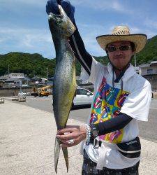 神谷沖一文字　のませでシイラ75cm