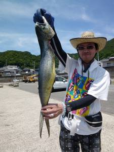 神谷沖一文字　のませでシイラ75cm