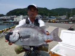 お見事♪ ぶっこみで50cmのイシダイＧＥ…