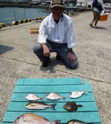 沖一文字外向き、カゴ釣りで多魚種釣れています♪