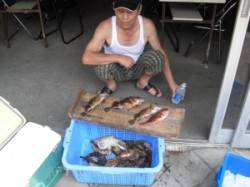 ナラムシクイで穴釣り、ガシラ31匹GET！…