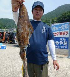 神谷工場裏の波止　エギングでアオリイカ1.2kg