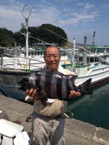 串本の磯　イシダイ＆イシガキダイの釣果