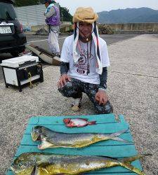 飲ませ釣りでシイラ95cm【ルアーに反応悪いようです…】