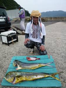 飲ませ釣りでシイラ95cm【ルアーに反応悪…