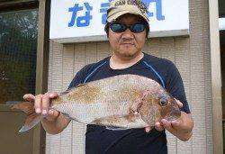 メタルジグでマダイ51cm　カラーはピンク