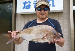 メタルジグでマダイ51cm　カラーはピンク…