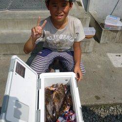 イワシ切り身でガシラ40尾。