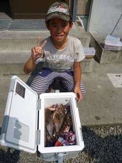 イワシ切り身でガシラ40尾。