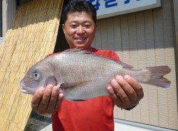 紀州釣りでマダイをゲット！　湯浅の磯