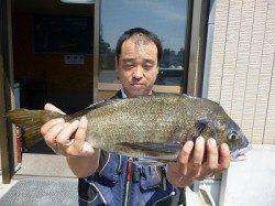 ★年無し★湯浅の磯で紀州釣り