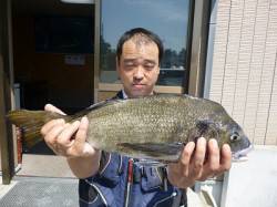 ★年無し★湯浅の磯で紀州釣り