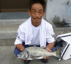 湯浅の磯　紀州釣りでチヌ51cm頭に6匹
