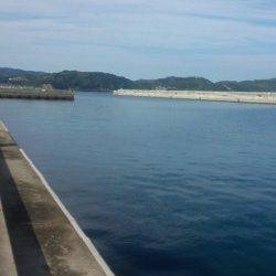 和歌山マリーナシティ　ジグヘッドリグ＋ワームでカマス＆ガシラ