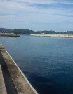 和歌山マリーナシティ　ジグヘッドリグ＋ワームでカマス＆ガシラ