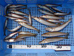 夏と言えばキス！【高田玲欧氏連載記事No.16】