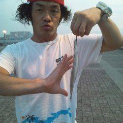 天保山で夕まづめにサビキでサヨリ♪