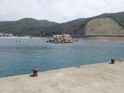 初めてイサキを狙って夜釣りをしてきました