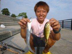 朝の神戸空港の釣り！タチウオ！