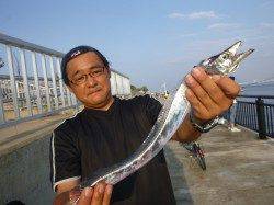 空港　良型メバル、タチウオ