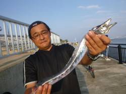 空港　良型メバル、タチウオ