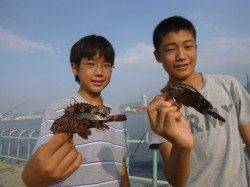 北公園　ガシラも動き出す