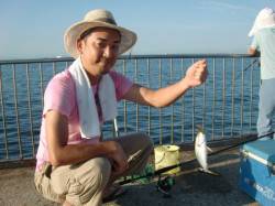 【目の前でツバス♪♪】南芦屋浜リアルタイム…