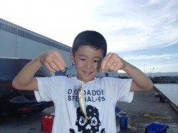 各釣り場ともにアジ順調♪泉大津RT21日あさ