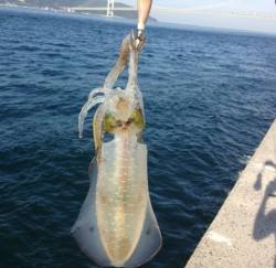 タルイチ近況報告！！