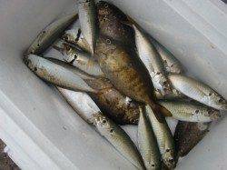 【雨でも関係なし】南芦屋浜リアルタイム