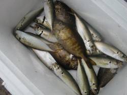 【雨でも関係なし】南芦屋浜リアルタイム 