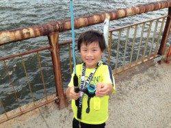 【芦屋の豆（小）アジ止まりません！】南芦屋浜