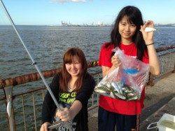 【朝一サビキ絶好調！】南芦屋浜ベランダ