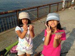 【サビキ＆サヨリちゃん好調！】南芦屋浜ベランダ