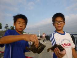 神戸空港　カワハギがそろそろ
