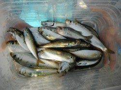 みんな最高の笑顔です♪泉大津RT・3日朝