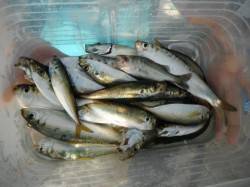 みんな最高の笑顔です♪泉大津RT・3日朝