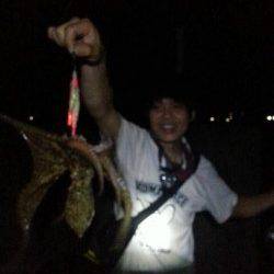 田村漁港でのオクトパッシング釣果