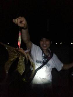 田村漁港でのオクトパッシング釣果