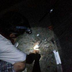 田村漁港でのオクトパッシング釣果